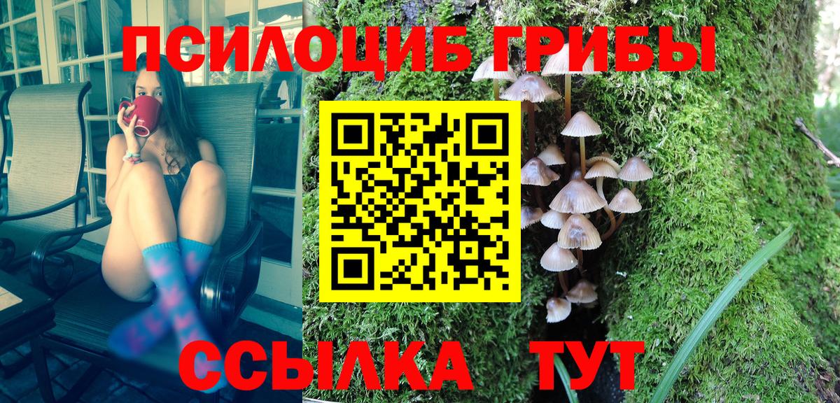 купить наркотики сайты  Галлюциногенные грибы GOLDEN TEACHER  Вход с VPN  Мариинск 